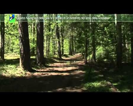 Il Parco Nazionale della Sila si è dotato di un Arboreto