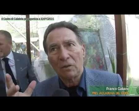 Il Cedro di Calabria protagonista a EXPO 2015- immagini e interviste