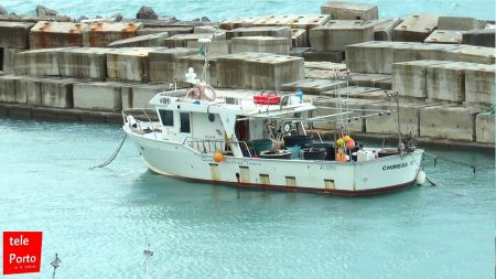 TelePorto … io le notizie. A cura del Movimento Popolare-3^pt