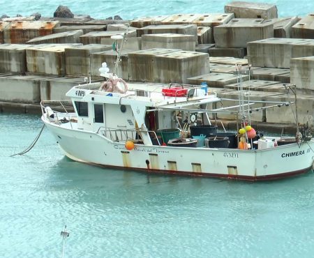 TelePorto … io le notizie. A cura del Movimento Popolare-3^pt