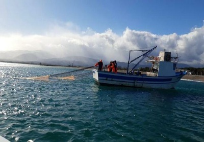 Pesca alla sardella, la Regione da il via alla campagna sperimentale