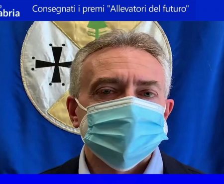 Video Notizie dalla Regione Calabria