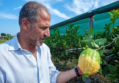 Angelo Adduci: “La denominazione Cedro di Santa Maria del Cedro, ci viene imposta dalla storia”