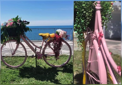 Diamante: Bici rosa abbelliscono il paese in attesa del Giro d’Italia