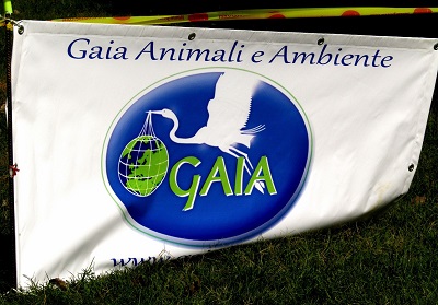 Orsomarso: Nasce la delegazione “Gaia – Animali e Ambiente” in collaborazione con Orsolab