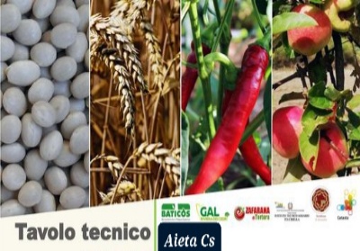 Aieta. Incontro sul tema “Tutela e salvaguardia delle biodiversità in Calabria”