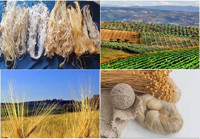 Rivoluzione Verde: Finalmente si parte con la Filiera agro-tessile di Calabria – G.O. Multifunzionalità Bio