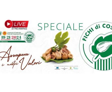 SPECIALE: FICHI FESTIVAL 2024 – Immagini ed interviste