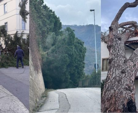 Maltempo: Il vento forte sta mettendo a dura prova molte località della costa Tirrenica Cosentina